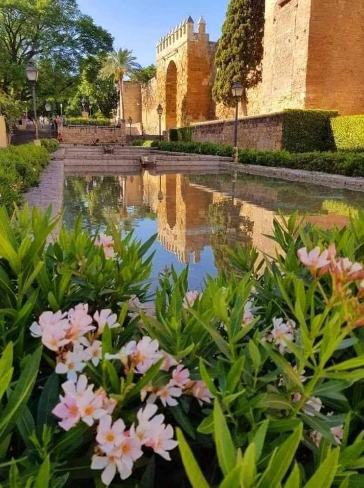Apartamento La Marquesa Cordoba Dış mekan fotoğraf